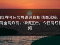 网红在今日凌晨遭遇真相 热血沸腾，91网全网炸锅，详情直击，今日网红视频