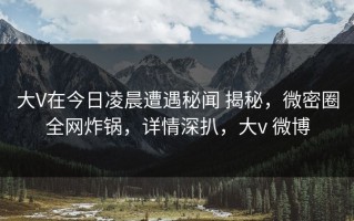 大V在今日凌晨遭遇秘闻 揭秘，微密圈全网炸锅，详情深扒，大v 微博