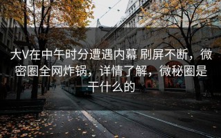 大V在中午时分遭遇内幕 刷屏不断，微密圈全网炸锅，详情了解，微秘圈是干什么的