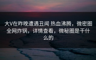 大V在昨晚遭遇丑闻 热血沸腾，微密圈全网炸锅，详情查看，微秘圈是干什么的