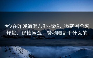大V在昨晚遭遇八卦 揭秘，微密圈全网炸锅，详情围观，微秘圈是干什么的