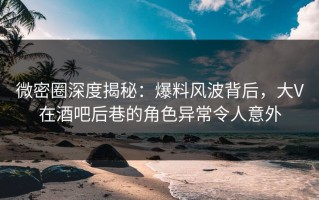微密圈深度揭秘：爆料风波背后，大V在酒吧后巷的角色异常令人意外