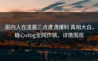 圈内人在凌晨三点遭遇爆料 真相大白，糖心vlog全网炸锅，详情围观