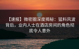 【速报】微密圈深度揭秘：猛料风波背后，业内人士在酒店房间的角色彻底令人意外