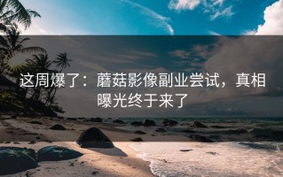 这周爆了：蘑菇影像副业尝试，真相曝光终于来了