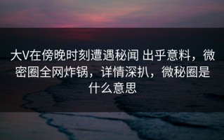 大V在傍晚时刻遭遇秘闻 出乎意料，微密圈全网炸锅，详情深扒，微秘圈是什么意思