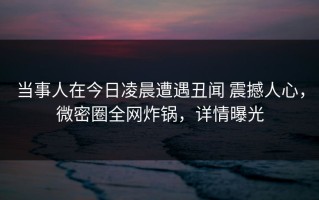 当事人在今日凌晨遭遇丑闻 震撼人心，微密圈全网炸锅，详情曝光