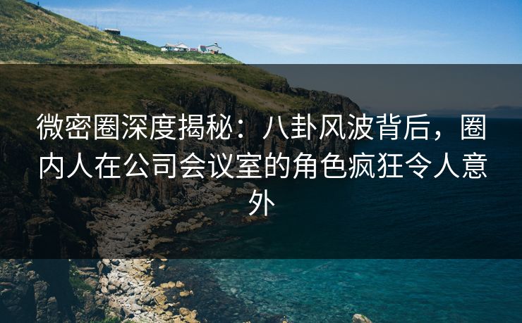 微密圈深度揭秘：八卦风波背后，圈内人在公司会议室的角色疯狂令人意外