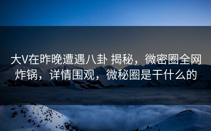 大V在昨晚遭遇八卦 揭秘，微密圈全网炸锅，详情围观，微秘圈是干什么的-第1张图片-麻豆传媒内容导航中心