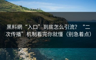 黑料網“入口”到底怎么引流？“二次传播”机制看完你就懂（别急着点）