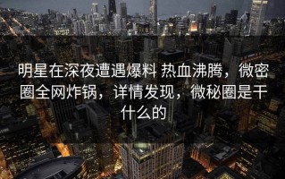 明星在深夜遭遇爆料 热血沸腾，微密圈全网炸锅，详情发现，微秘圈是干什么的