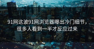 91网这波91网浏览器曝出冷门细节，很多人看到一半才反应过来