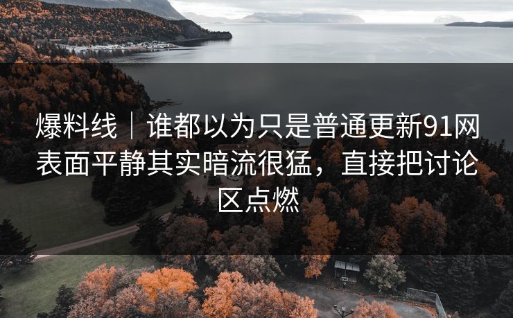 爆料线｜谁都以为只是普通更新91网表面平静其实暗流很猛，直接把讨论区点燃
